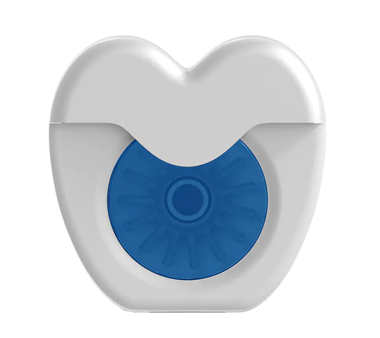 เทคโนโลยีบูเลดัน