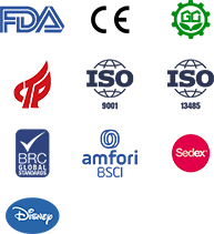 เทคโนโลยีบูเลดัน