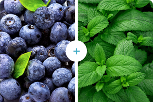 เทคโนโลยีบูเลดัน