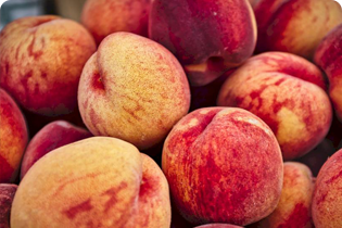 เทคโนโลยีบูเลดัน