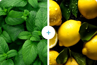 เทคโนโลยีบูเลดัน