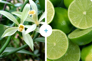 เทคโนโลยีบูเลดัน