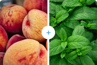 เทคโนโลยีบูเลดัน