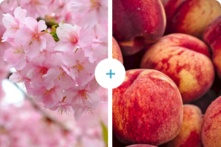 เทคโนโลยีบูเลดัน