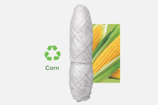 เทคโนโลยีบูเลดัน